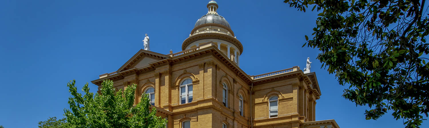 Banner image of Auburn